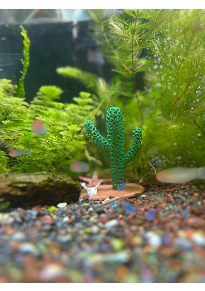 Akvaryum Dekoru Kaktüs Model fırsatları
