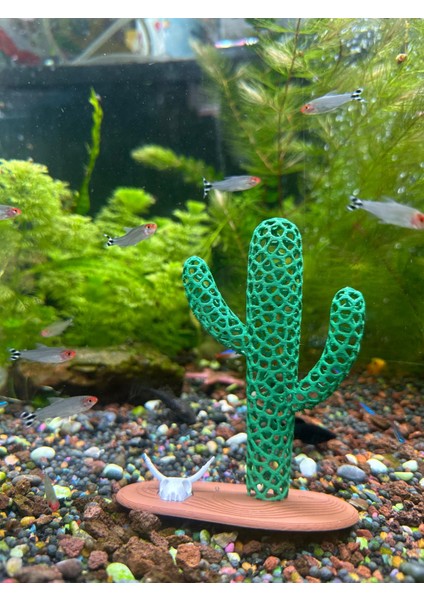 Akvaryum Dekoru Kaktüs Model indirimleri