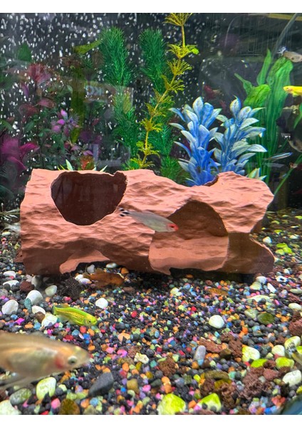 Akvaryum Dekoru Oyuklu Kütük Mağara modelleri