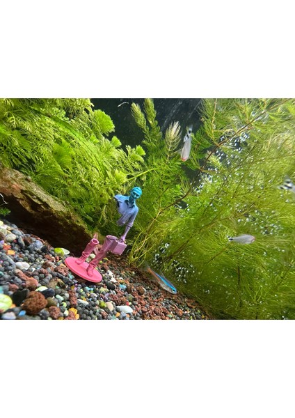 Modern Büst Figür Dekor – Çantalı Tasarım – Karışık Renk Geçişli fırsatları