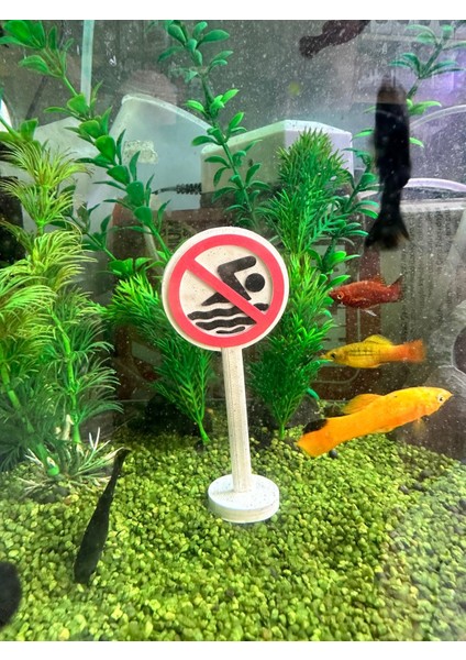 Yüzmek Yasaktır Tabelası