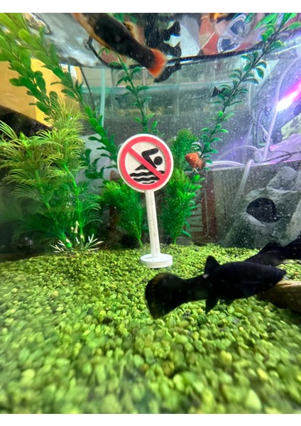 Yüzmek Yasaktır Tabelası fırsatları