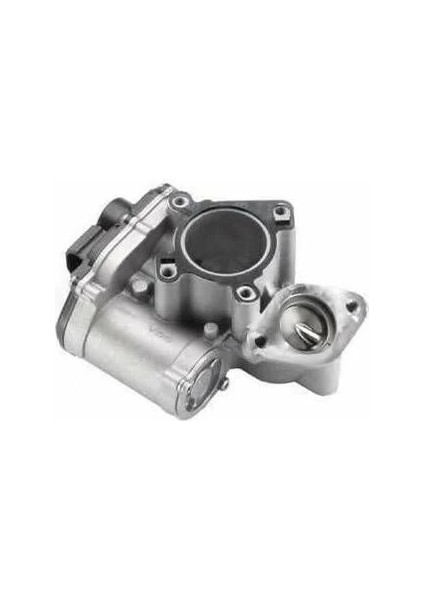 Egr Vanası M9R Maıs 8200797706