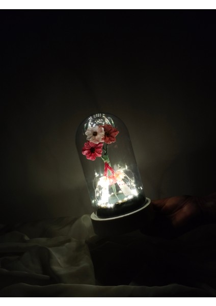 Dekoratif Ledli A Harfi, A Harfli Özel Akşamsefası Çiçekli Teraryum Fanus, Hediyelik Fanus fırsatları