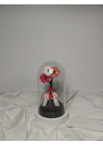 Dekoratif Ledli A Harfi, A Harfli Özel Akşamsefası Çiçekli Teraryum Fanus, Hediyelik Fanus indirimleri