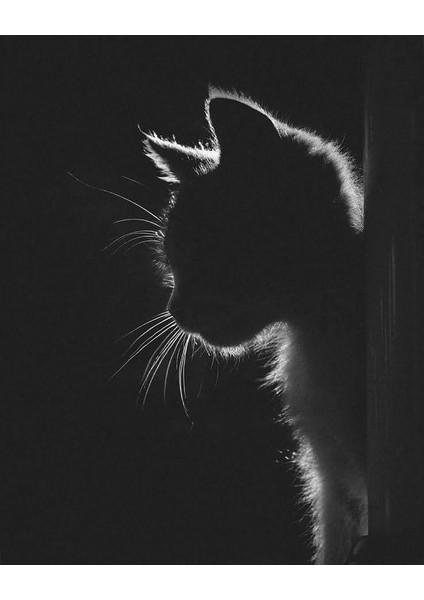 Siyah Yapraklı Defter A5 (15 x 21 Cm) ve Beyaz Kalem, Black Sketch,