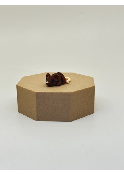 Minik Hayvanlar 5'li Oyuncak Seti- Ekip9– Organik, Hareketli, Eklemli ve Eğitici fırsatları