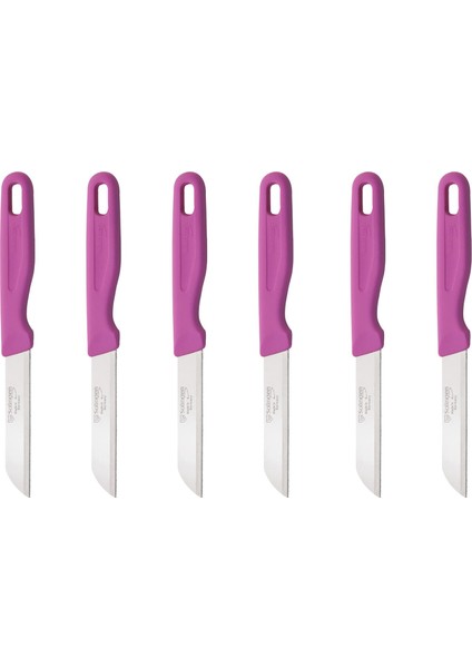 6 Lı Mat Meyve Sebze Bıçağı
