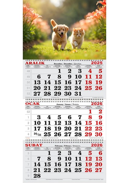 2026 Yılı Gemici Takvimi-Bahçede Kedi ve Köpek