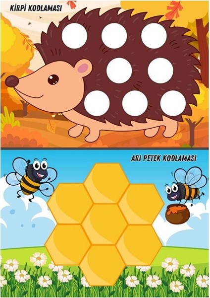 Cırt Cırtlı Renkli Kodlama Seti fırsatları