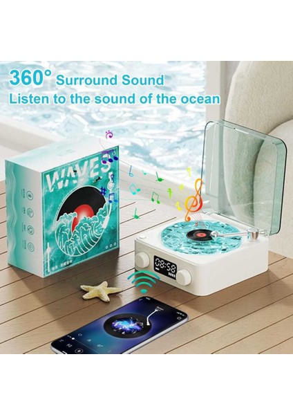 Wawes Plak Müzik Kutusu fiyatları