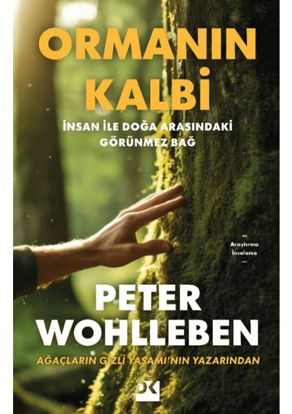 Ormanın Kalbi