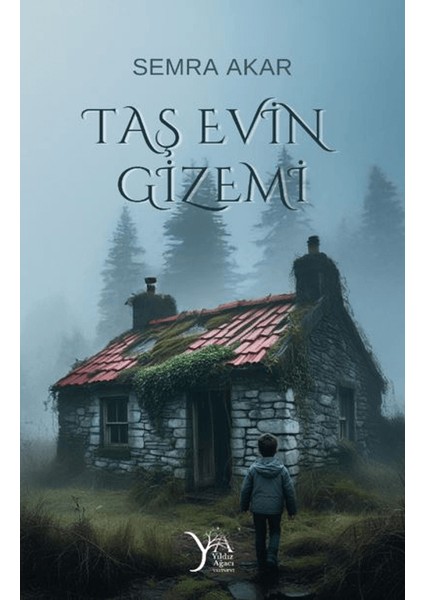 Taş Evin Gizemi