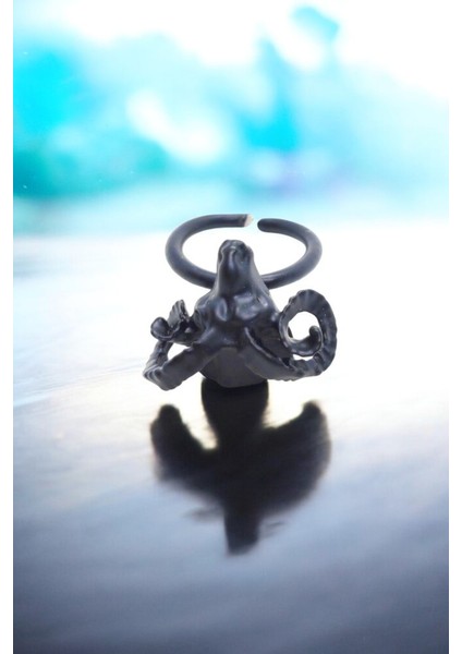 Mat Siyah Ayarlanabilir Yüzük Soyulmaz Kararmaz Koç Yüzük