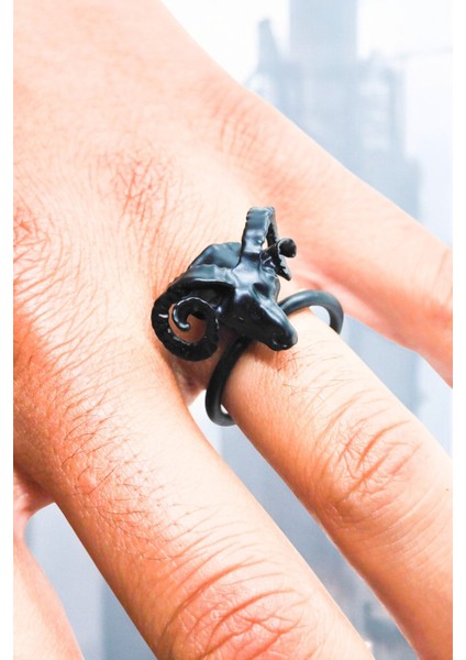 Mat Siyah Ayarlanabilir Yüzük Soyulmaz Kararmaz Koç Yüzük fiyatları