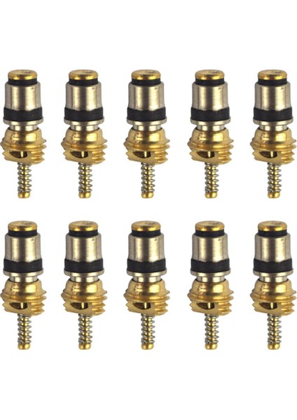 10X Lastik Yüksek Basınçlı Kök Çekirdekler (Yurt Dışından) fırsatları