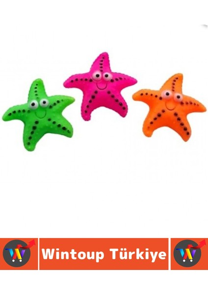Evcil Hayvan Köpek Diş Temizliği Kaşıma Masaj Ilgi Çekici Denizyıldızı Figür Çiğneme Oyuncağı 4 Adet fiyatları