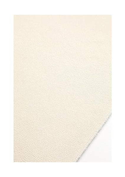 2li Kaydırmaz Paspası - Krem fiyatları