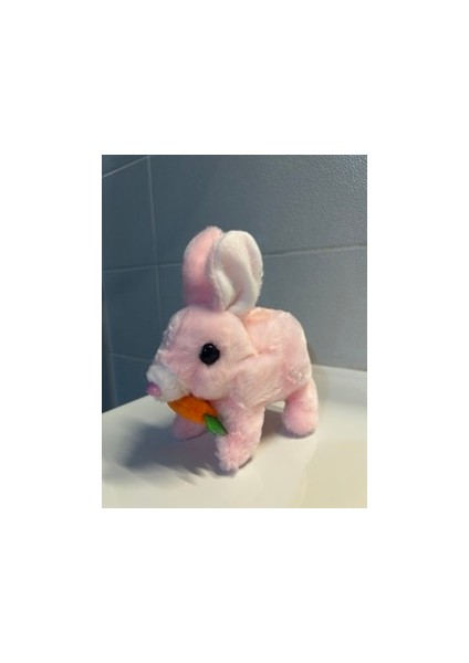 Işıklı Sesli Zıplayan Tavşan