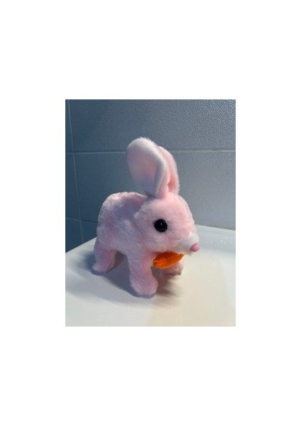 Işıklı Sesli Zıplayan Tavşan fiyatları