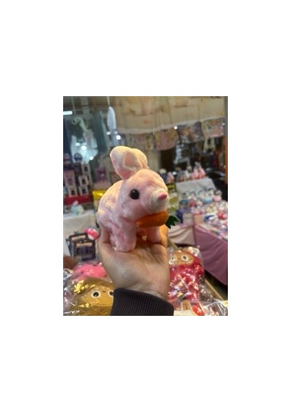 Işıklı Sesli Zıplayan Tavşan fırsatları