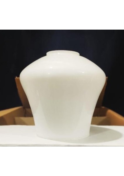 Avize Camı Orjinal Tekno