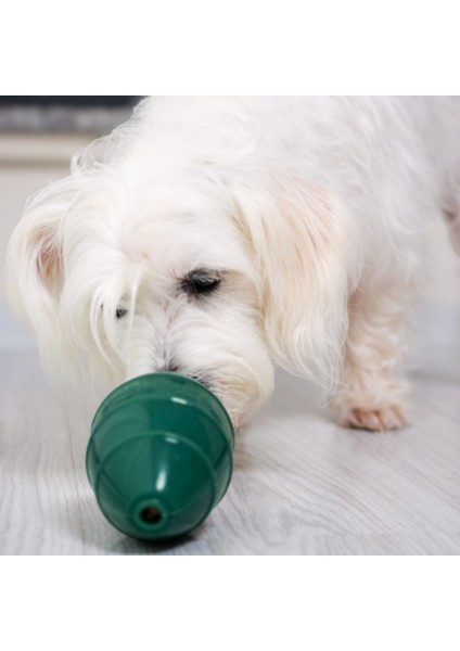Bulmaca ve Ödül Oyuncağı- Köpekler Için Oyalayıcı ve Can Sıkıntısı Giderici modelleri
