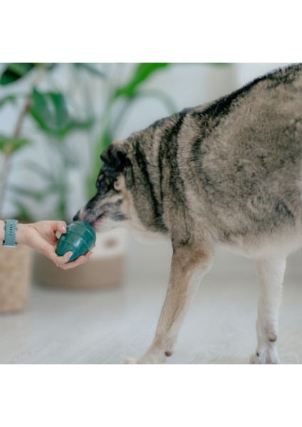 Bulmaca ve Ödül Oyuncağı- Köpekler Için Oyalayıcı ve Can Sıkıntısı Giderici fırsatları