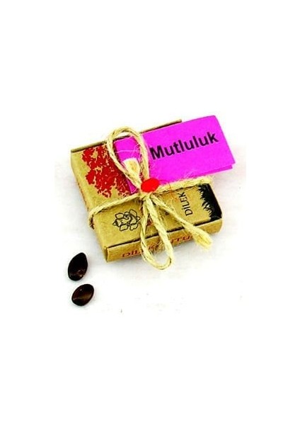 Dilek Tohumları - Mutluluk