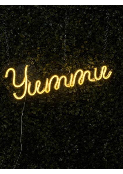 Kişiye Özel Neon LED Yazı 5 Harfli – Isim Yazılı Dekoratif Duvar Işığı indirimleri