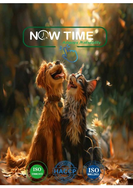 Kuzu Etli Natural Konserve Yetişkin Kedi Maması 6 Adet indirimleri