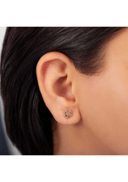 Gümüş Rose Yonca Çivili Kadın Küpe fiyatları