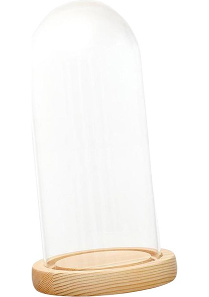 Cam Cloche Dome Dollhouse Dekorasyon Mikro Peyzaj Çiçekler 12CMX28CMX14CM (Yurt Dışından)