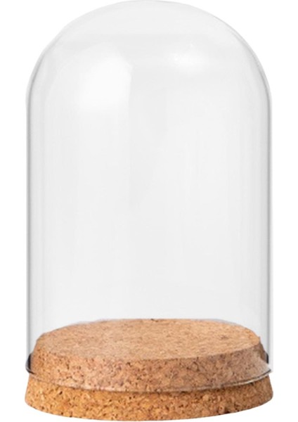 Ev Masaüstü Dekoratif 8CMX10CM Için Ahşap Taban Ekranlı Cloche Kavanoz (Yurt Dışından)