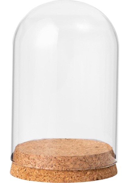 Ev Masaüstü Dekoratif 8CMX10CM Için Ahşap Taban Ekranlı Cloche Kavanoz (Yurt Dışından) fiyatları