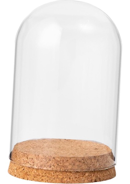 Ev Masaüstü Dekoratif 8CMX10CM Için Ahşap Taban Ekranlı Cloche Kavanoz (Yurt Dışından) fırsatları