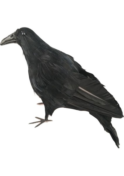 Cadılar I El Yapımı Tüylü Iş Mekanlar Için Standlı (Yurt Dışından)