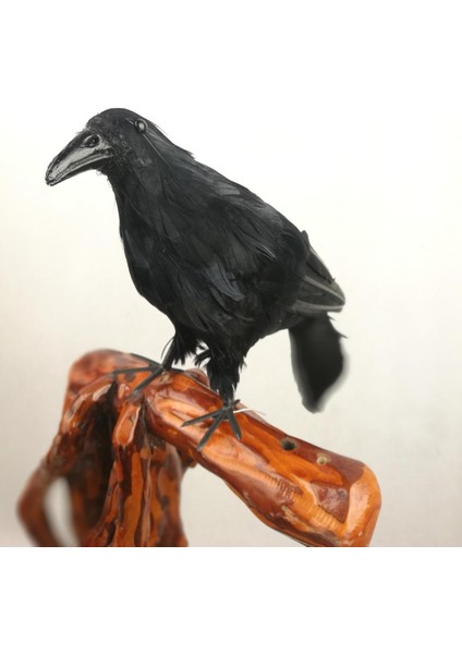 Cadılar I El Yapımı Tüylü Iş Mekanlar Için Standlı (Yurt Dışından) fiyatları