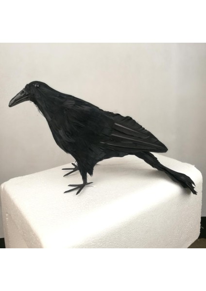 Cadılar I El Yapımı Tüylü Iş Mekanlar Için Standlı (Yurt Dışından) modelleri