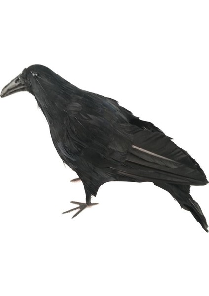 Cadılar I El Yapımı Tüylü Iş Mekanlar Için Standlı (Yurt Dışından) fırsatları