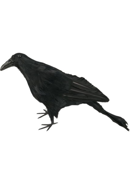 Cadılar I El Yapımı Tüylü Iş Mekanlar Için Standlı (Yurt Dışından) indirimleri