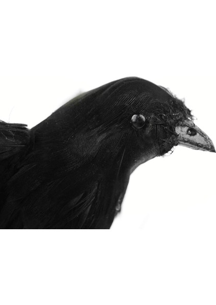 Cadılar I El Yapımı Tüylü ve Açı Için Standlı ve 16X20X7CM (Yurt Dışından) modelleri