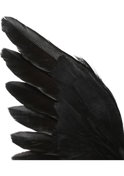 Cadılar I El Yapımı Tüylü ve Açı Için Standlı ve 16X20X7CM (Yurt Dışından) fırsatları