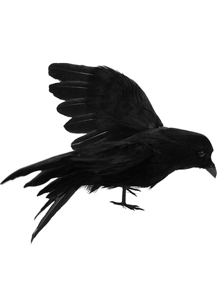 Cadılar I El Yapımı Tüylü ve Açı Için Standlı ve 16X20X7CM (Yurt Dışından) indirimleri