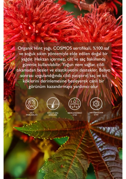 Artizan Mutfak Hint Yağı modelleri