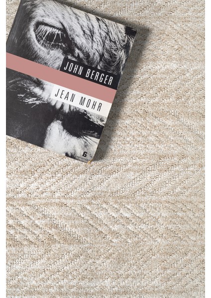 Yalın Modern Dokuma Halı Kaymaz Tabanlı Yıkanabilir Salon ve Oturma Odası Halısı 5577 Bej fiyatları