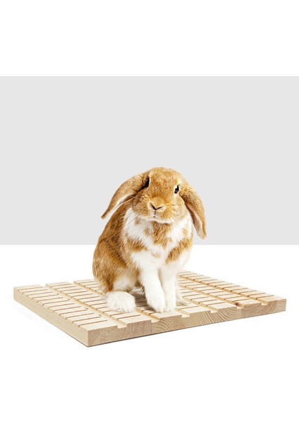 Tavşan Kazıma Pedi Ahşap Çiğneme Oyuncakları Kazı Platformu Oyun Oyuncak Kazı Kazan Kafesi (Yurt Dışından) fiyatları