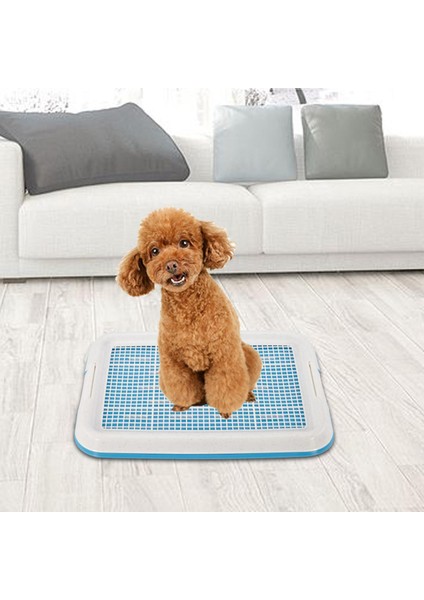 Köpek Lazımlık Tuvalet Eğitim Tepsisiı Örgü Eğitim Tepsisi Küçük Boyutlu Mavi (Yurt Dışından) fiyatları