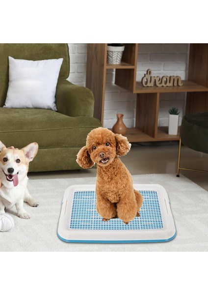 Köpek Lazımlık Tuvalet Eğitim Tepsisiı Örgü Eğitim Tepsisi Küçük Boyutlu Mavi (Yurt Dışından) modelleri