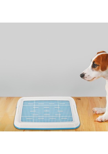 Köpek Lazımlık Tuvalet Eğitim Tepsisiı Örgü Eğitim Tepsisi Küçük Boyutlu Mavi (Yurt Dışından) fırsatları